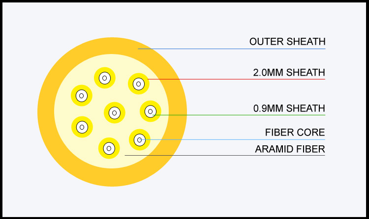 Fiber patch cord Bundle Patch Cord SM 2-24 Core_2